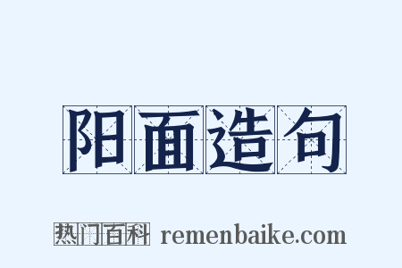 阳面造句是什么意思的图片